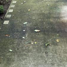 Top-Quality-service-Patio-deep-cleaning-in-Saylorsburg-Pa 5